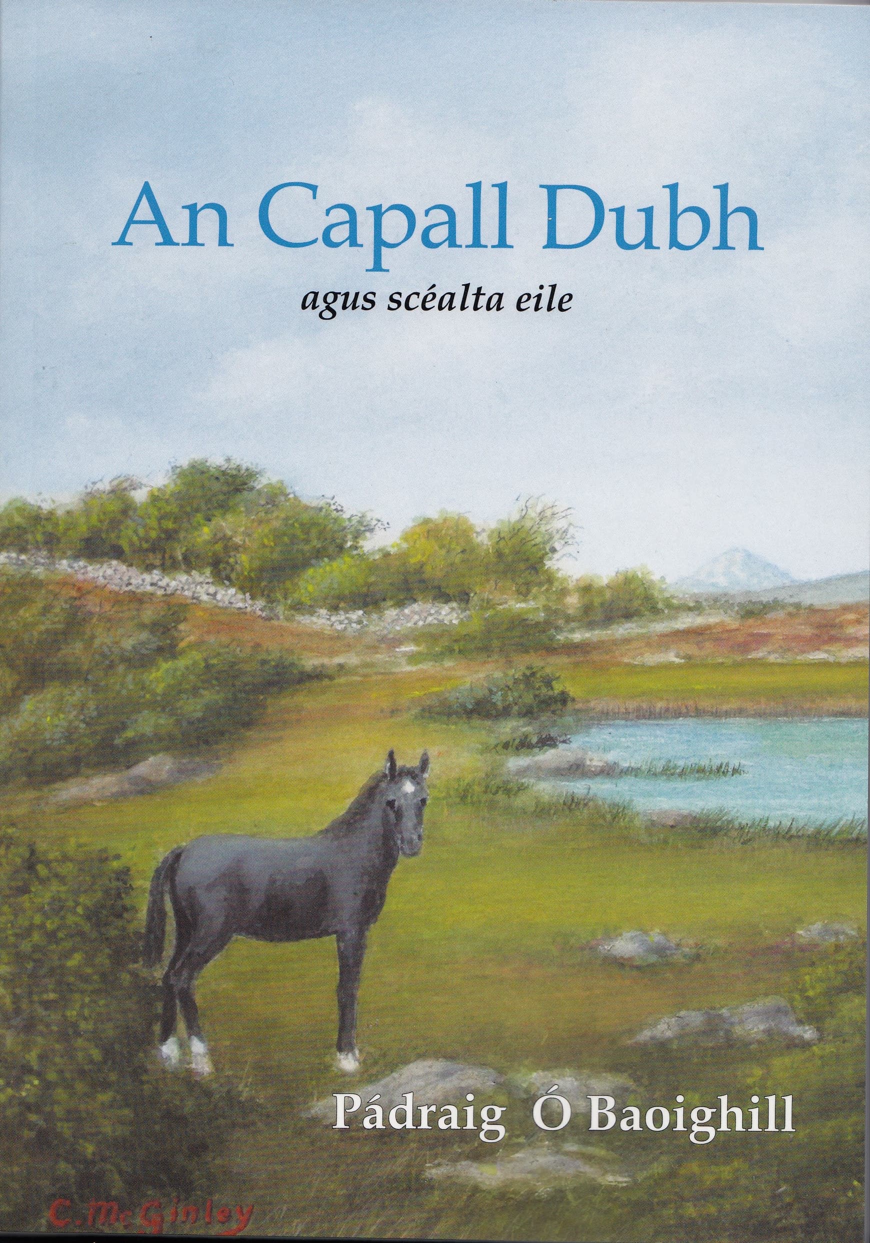 An Capall Dubh